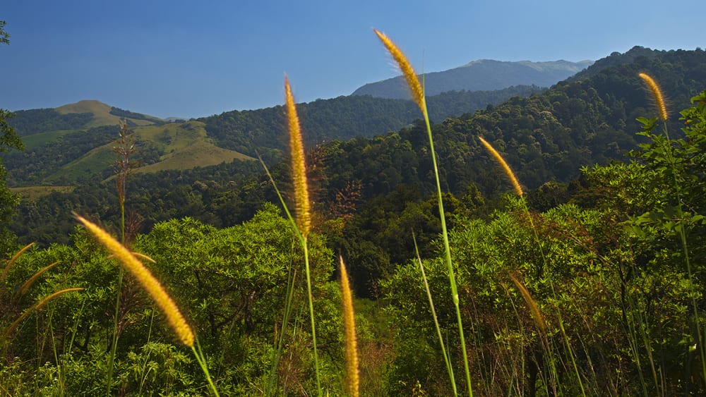 The Varied Ecosystems of Peninsular India
