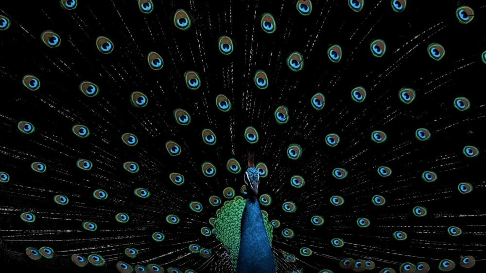 Glam Radar: Iridescence in the Wild