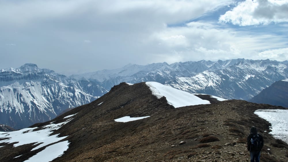 Seeking the Elusive Stone Marten in the Wilds of Spiti Valley