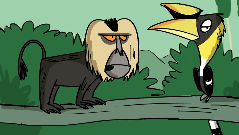 The Lion-Tailed Macaque Laments Taxonomy