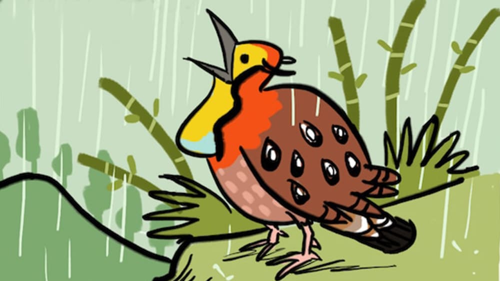 A Glimpse of India’s Biodiversity