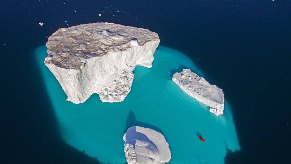 Icy Realm: The Cool Inhabitants of Greenland