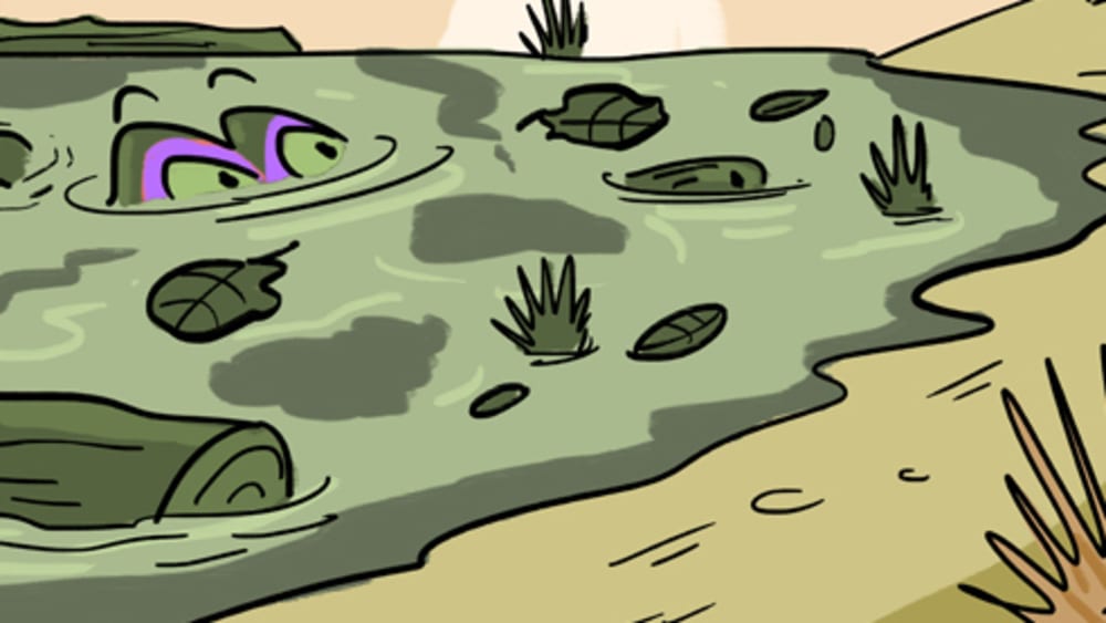 Why is That Floating Log Looking at Us?