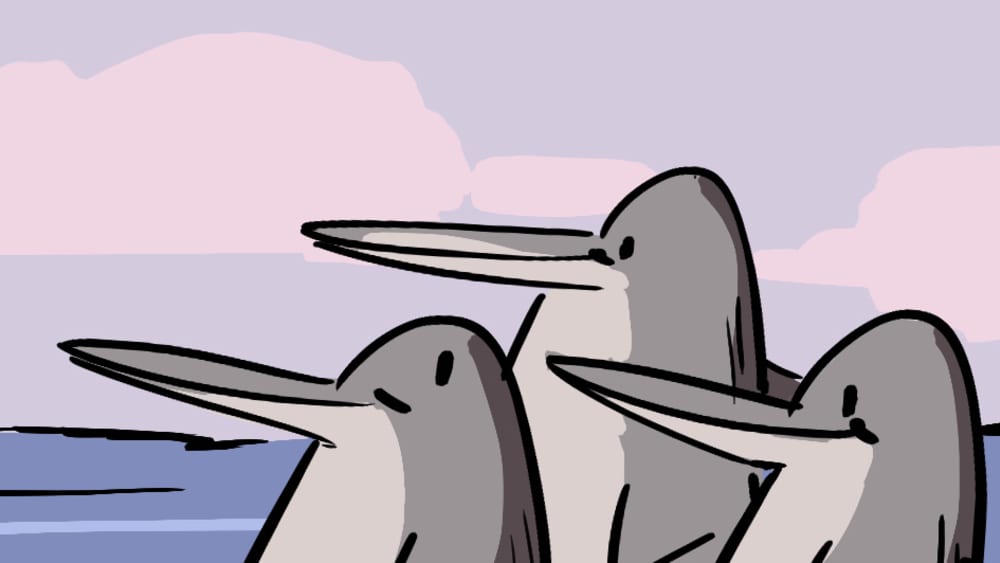 A Dolphin’s Coaching Classes