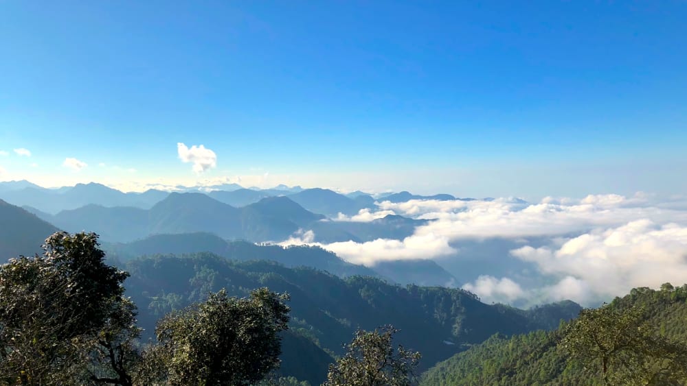 Jabarkhet Nature Reserve: A Forest Returns Home