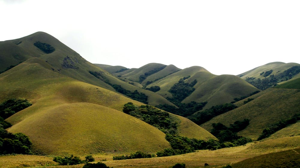 Not Wastelands: Non-forest Habitats of the Western Ghats