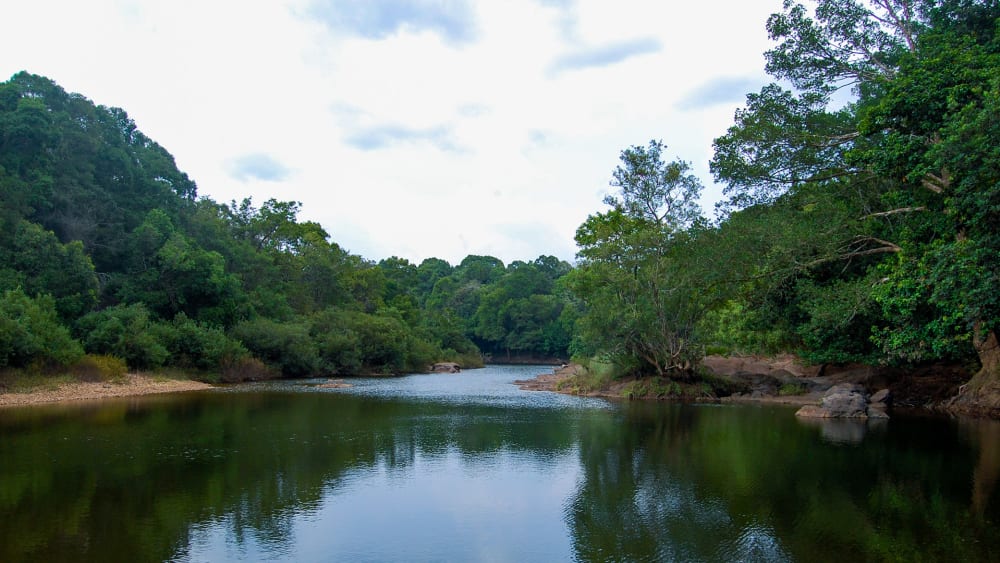 Jungle Theatrics: Along the Sitanadi at Someshwara Wildlife Sanctuary