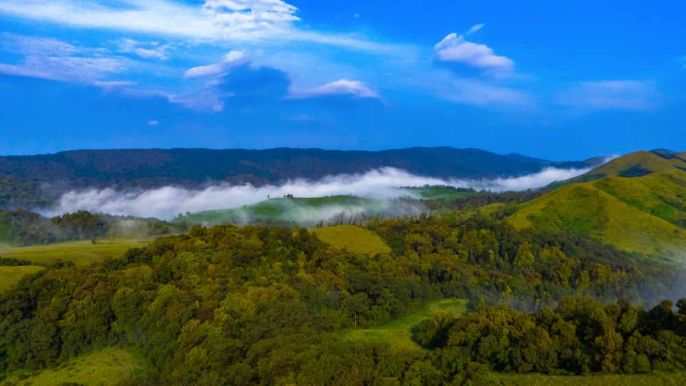 The Guide: Agumbe, the Exalted Rainforest Paradise