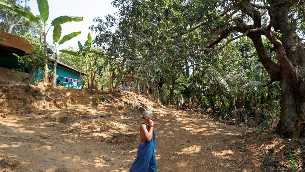 Tulasi Gowda: How She Brings Forests to Life