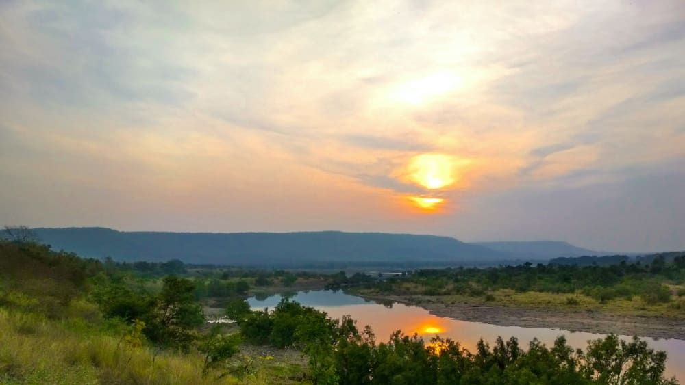 Stepped Splendour: The Glorious Landscape of Panna Tiger Reserve