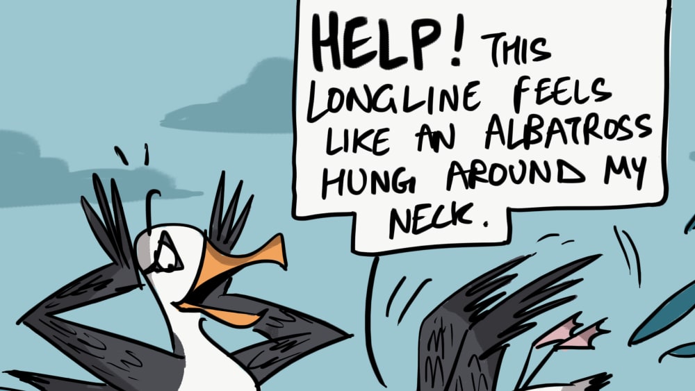The Albatross Cries for Help
