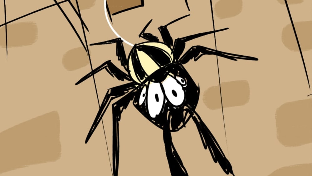 The Jumping Spider Eyes the Kohinoor
