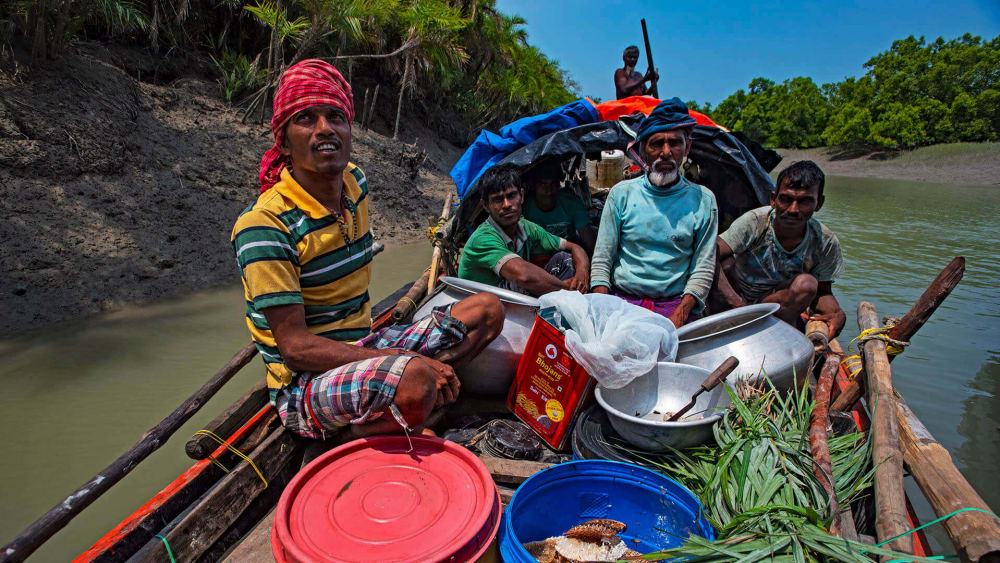 Risk, Ritual, and Survival: The Honey Gatherers of the Sundarbans