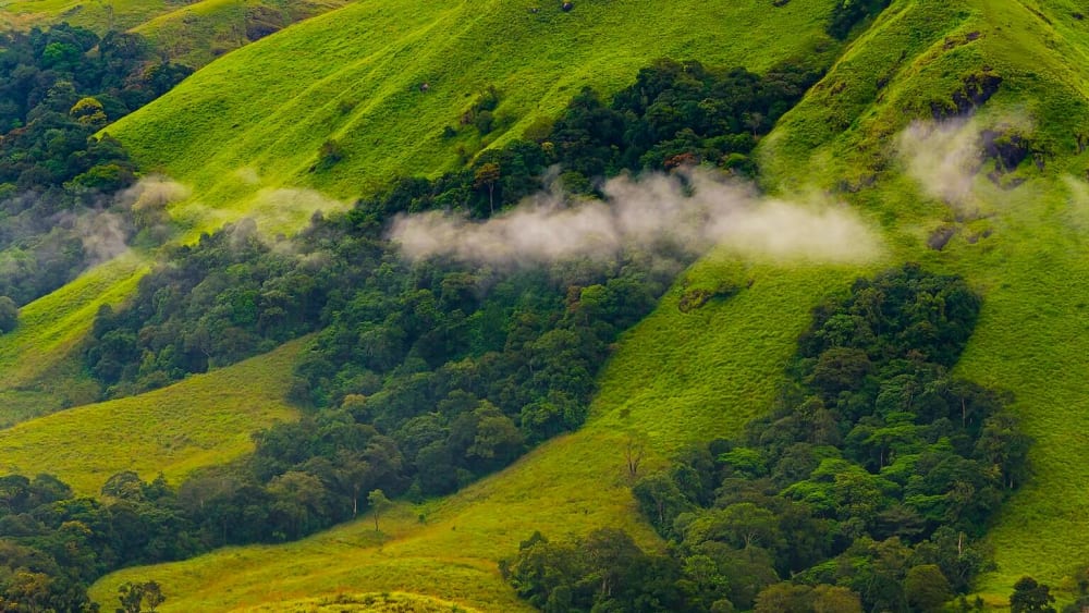 Periyar Tiger Reserve: Synergy of an Emerald Forest