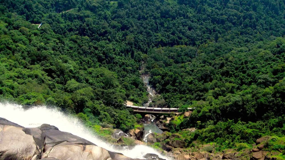 Magical Mollem: The Fight to Save Goa’s Largest Wildlife Sanctuary