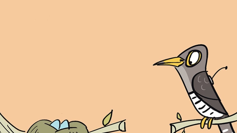 Tricks and Tips from a Record-Setting Cuckoo’s Handbook