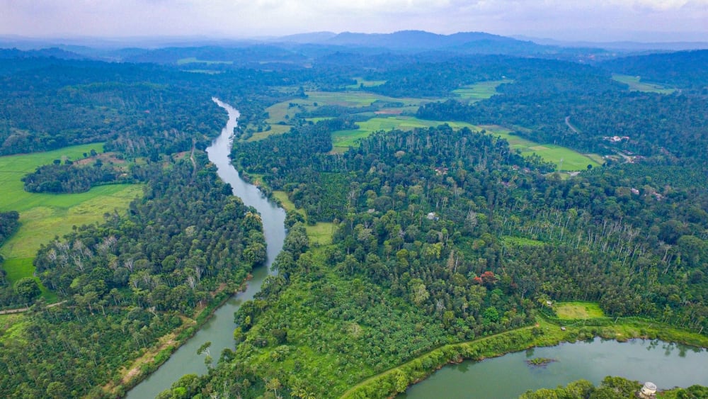 Living Waters: The Resistance and Resilience of the Cauvery