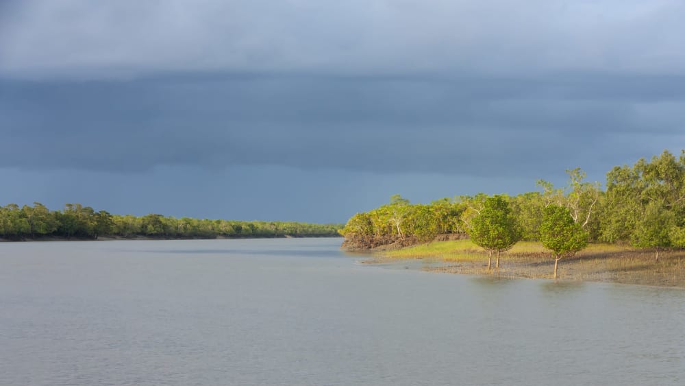 Migrating Mangroves: Why Sundarbans’ Coast Guards Are Moving