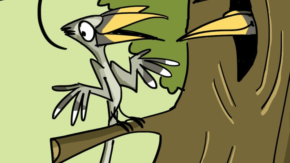 Stay Home like a Hornbill