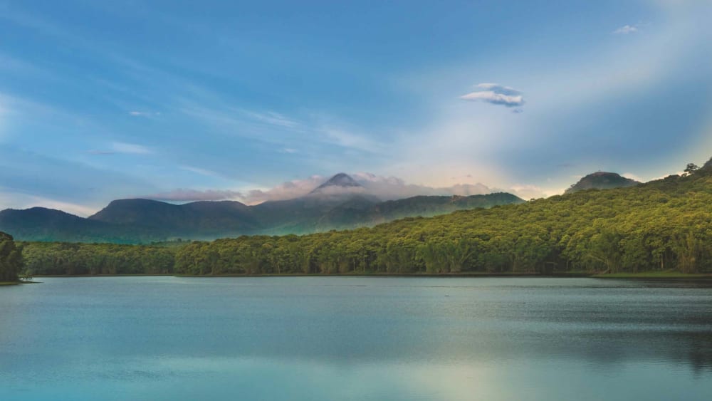 Parambikulam Tiger Reserve: A Sight and Story at Every Bend