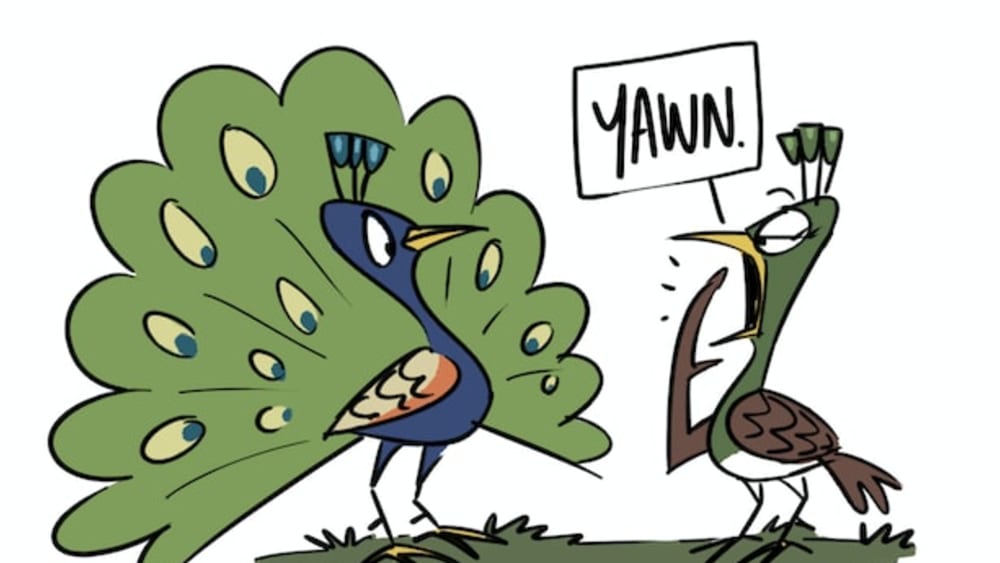 How Peacock Won a Peahen Over With the Perfect Pun