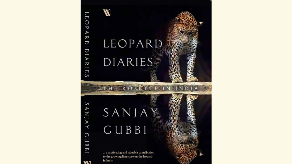 The Nitty-gritty of Releasing a Leopard
