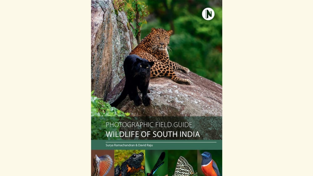 The Wild Stars of South India