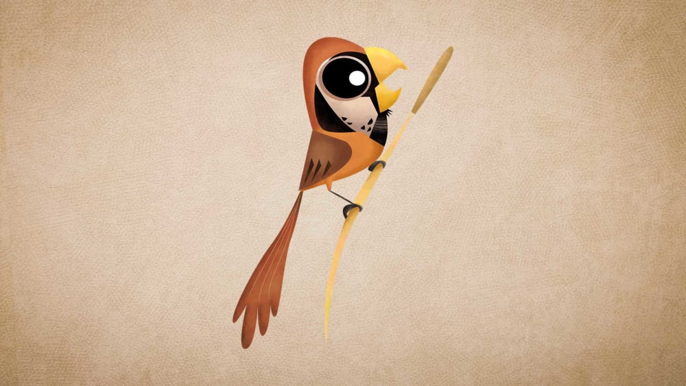 Black-breasted Parrotbill: Facts, Habitat, Threats