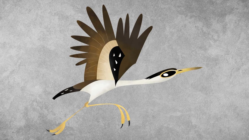 Great Indian Bustard: Facts, Habitat, and Protection Status