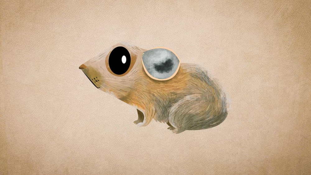 Pika: Facts, Size, and Habitat