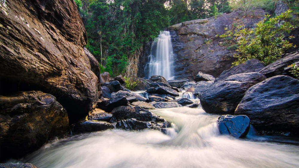 The Guide: Wild Wayanad