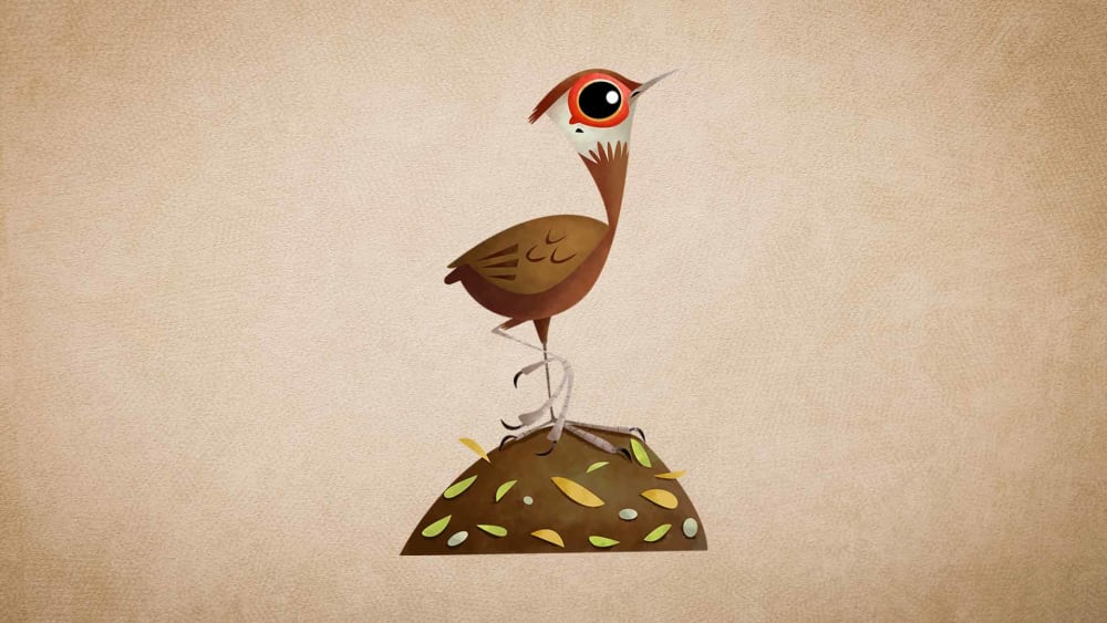 Nicobar Megapode: Facts, Diet, Threats