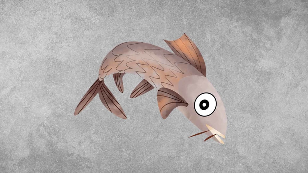 Hump-backed Mahseer: Facts, Habitat, Threats