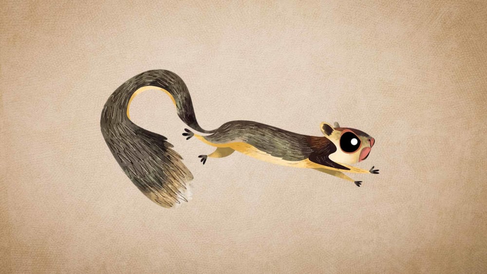 Grizzled Giant Squirrel: Facts, Habitat, Threats