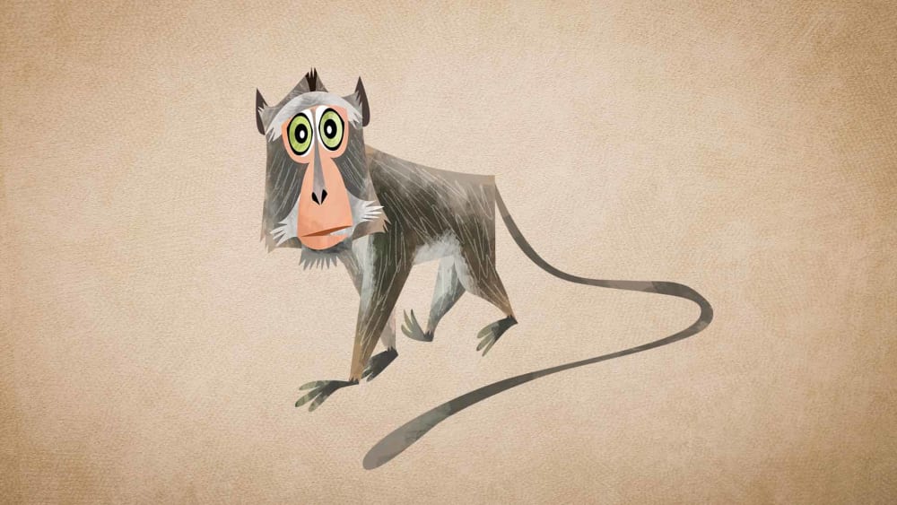 Nicobar Long-tailed Macaque: Facts, Habitat, Diet, Threats