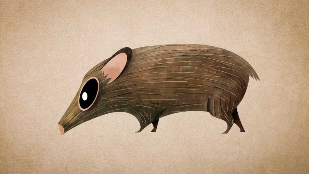 Pygmy Hog: Facts, Habitat, and How it Builds a Nest