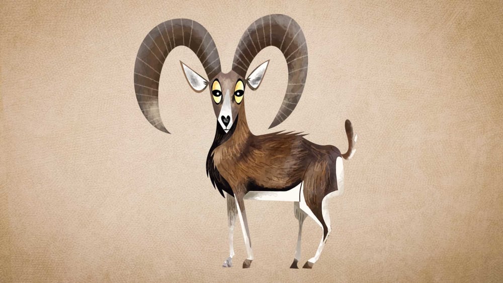 Ladakh Urial: Facts, Habitat, and Population