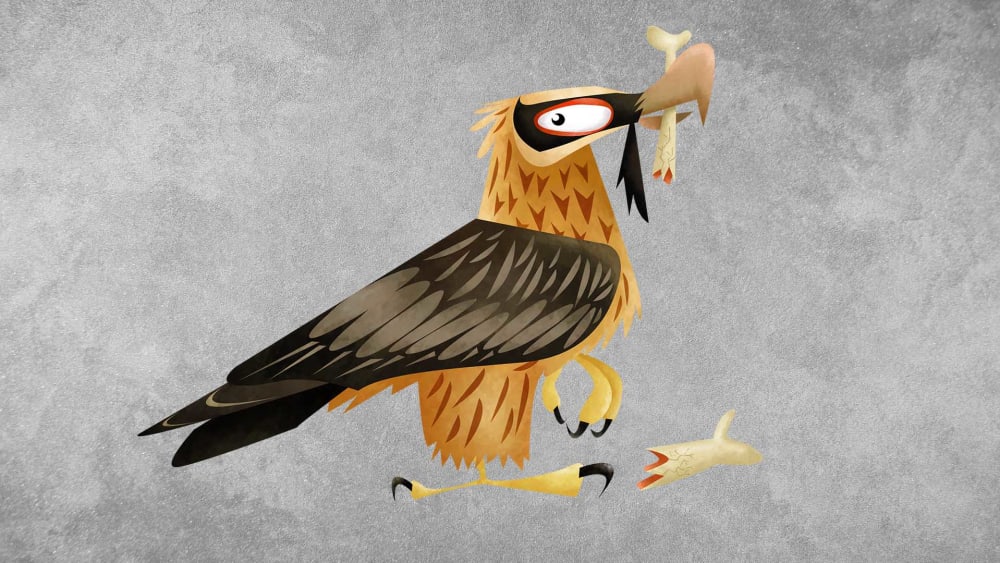 Bearded Vulture: Facts, Diet, IUCN Status