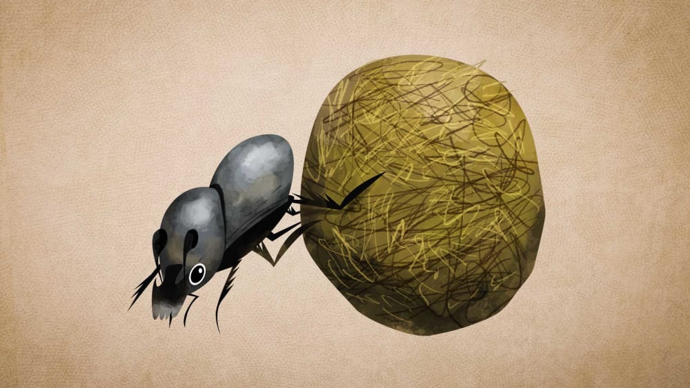 Dung Beetles: Facts, Diet, Habitat
