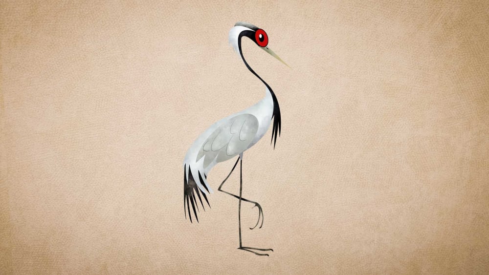 Demoiselle Crane: Facts, Diet, Flight