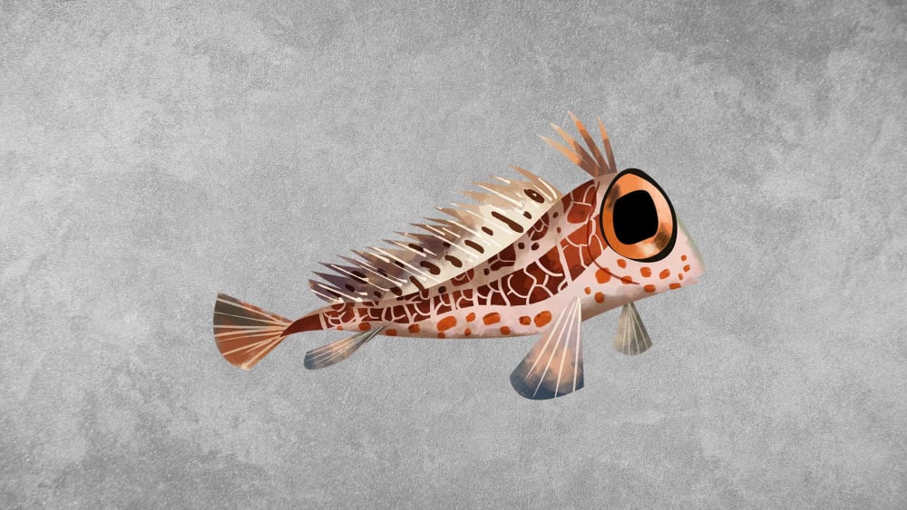 Blennies: Facts, Lifespan, and Life on the Coral Reefs