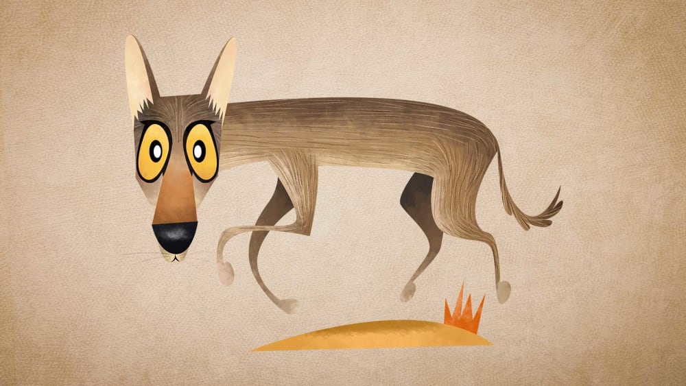 Indian Wolf: Facts, Size, Weight, Habitat