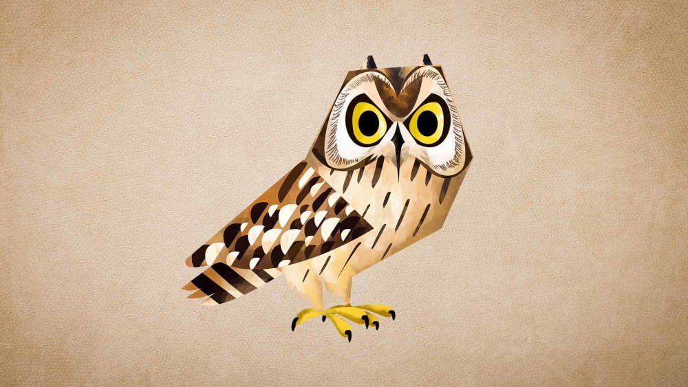 Short-eared Owl: Facts, Call, Habitat, Flight