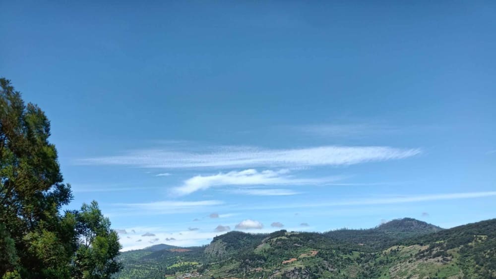 Intimate Connections: Falling in Love With a Walking Trail