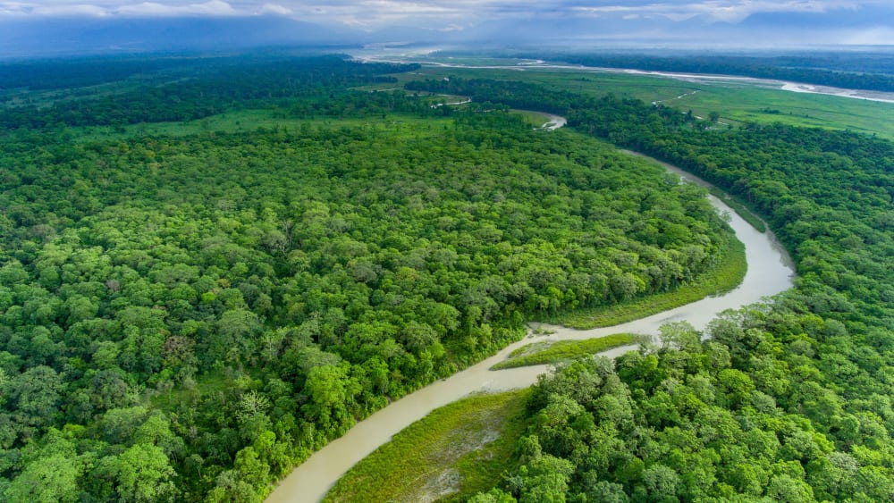 Jaldapara National Park: Megaherbivore Refuge in Northern West Bengal
