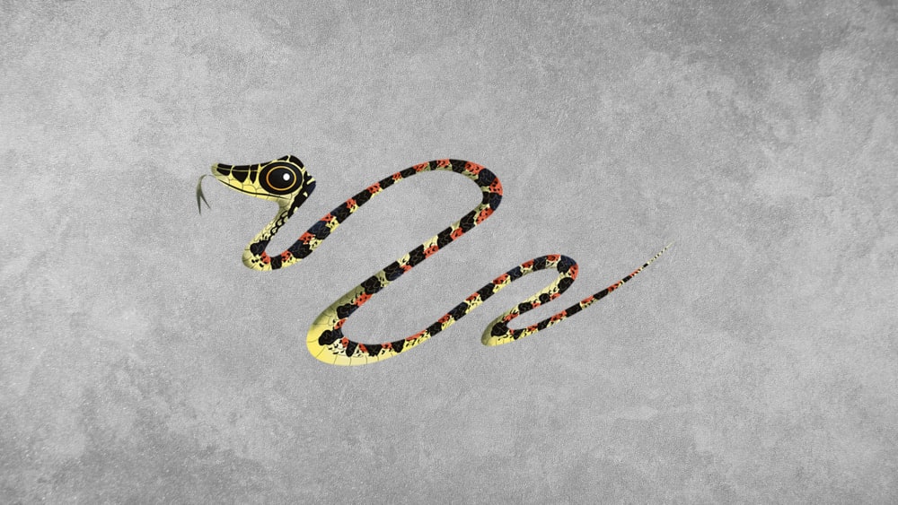 Ornate Flying Snake: Facts, Range, Venom