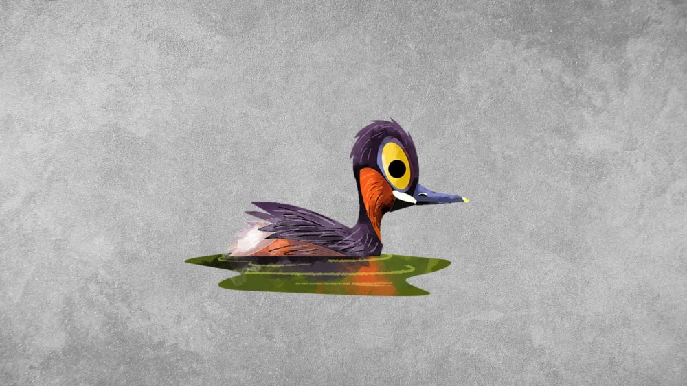 Little Grebe: Facts, Diet, Habitat