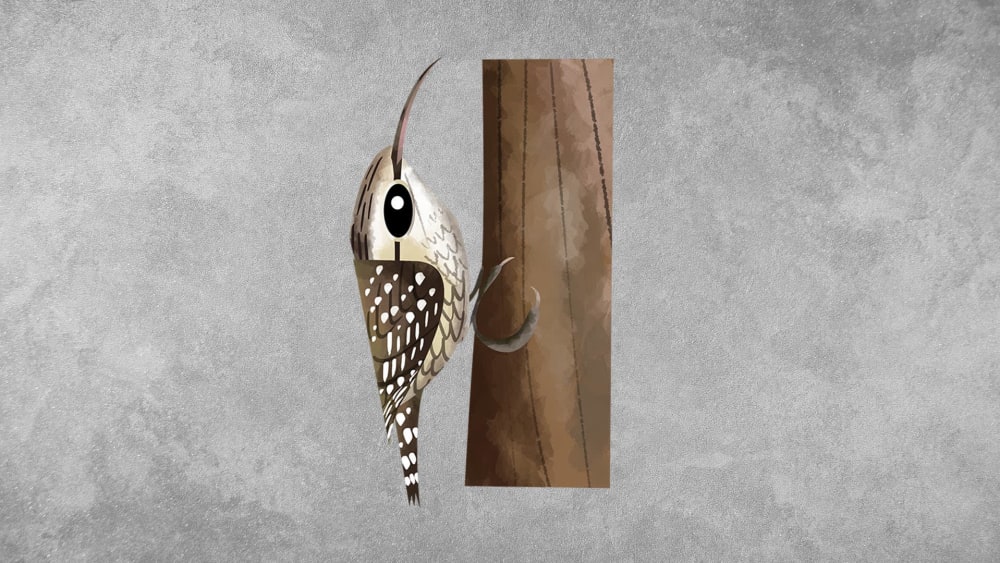 Indian Spotted Creeper: Facts, Diet, Habitat