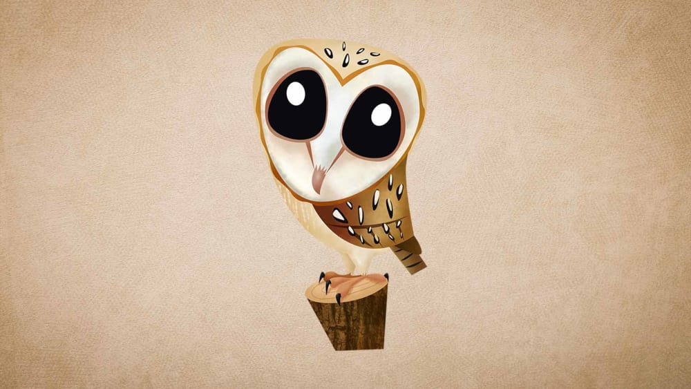 Barn Owl: Facts, Diet, Habitat