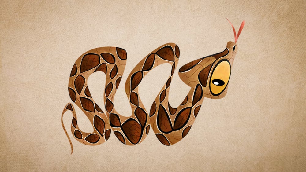 Russell's Viper: Facts, Colour, Venom